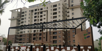 1 BHK Flat for Sale in Thanisandra, Bangalore