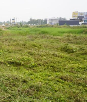  Commercial Land for Sale in Marutha Road, Palakkad