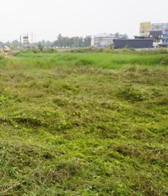  Commercial Land 33 Cent for Sale in Marutha Road, Palakkad