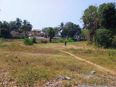  Residential Plot 40 Cent for Sale in Koduvayur, Palakkad