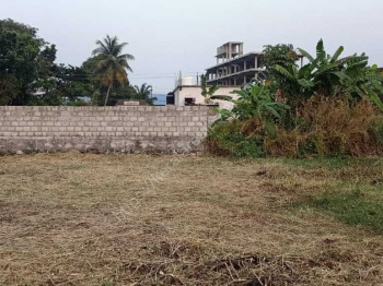  Residential Plot for Sale in Pallassana, Palakkad