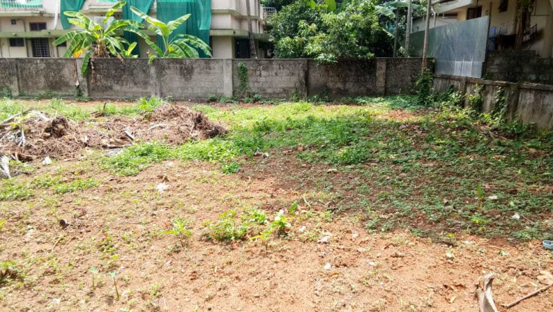  Residential Plot 50 Cent for Sale in Polpully, Palakkad