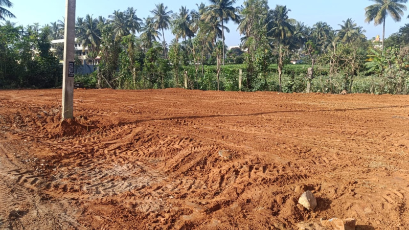  Residential Plot 1025 Sq.ft. for Sale in Hoskote, Bangalore