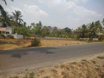  Residential Plot 35 Cent for Sale in Thenkurissi, Palakkad