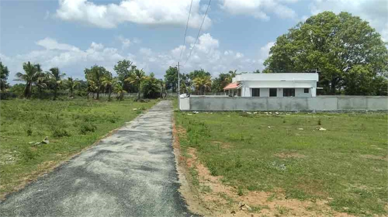  Residential Plot 1400 Sq.ft. for Sale in Aluva, Ernakulam