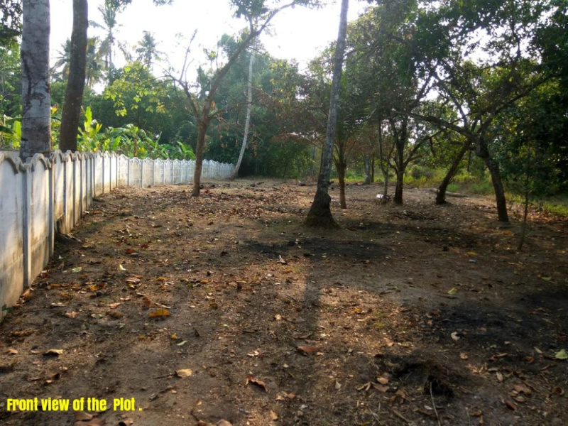  Residential Plot 11 Cent for Sale in Malampuzha, Palakkad