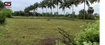  Residential Plot 5 Acre for Sale in Vadakkencherry, Palakkad