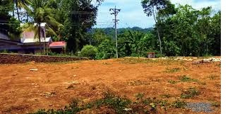  Residential Plot 12 Cent for Sale in Alathur, Palakkad
