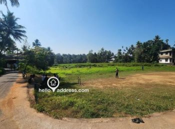  24 Cent Residential Plot for Sale in Thenkurissi, Palakkad