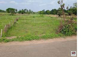 Residential Plot 6 Cent for Sale in Nellaya, Palakkad