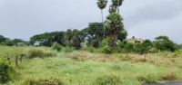  Residential Plot for Sale in Parambil Bazar, Kozhikode