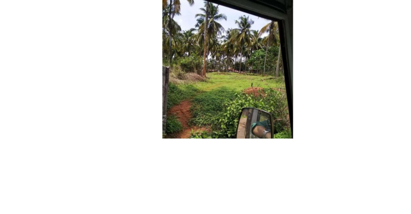  Residential Plot 20 Cent for Sale in Sultanpet, Palakkad