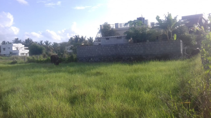  Agricultural Land 32 Acre for Sale in Alathur, Palakkad
