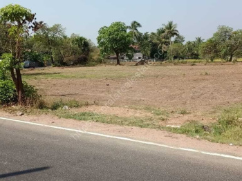  Residential Plot for Sale in Koduvayur, Palakkad