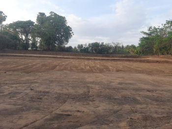  2640 Sq.ft. Residential Plot for Sale in Jakkur, Bangalore