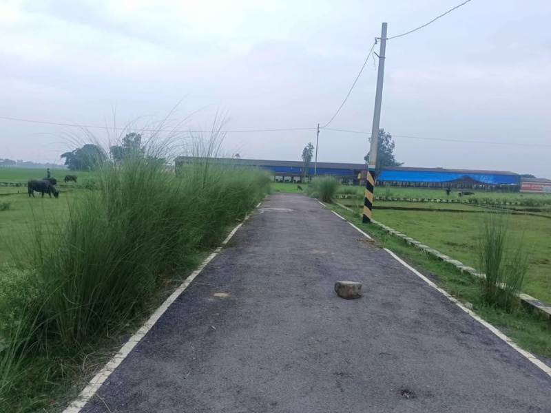  40 Cent Residential Plot for Sale in Kuruvattur, Kozhikode