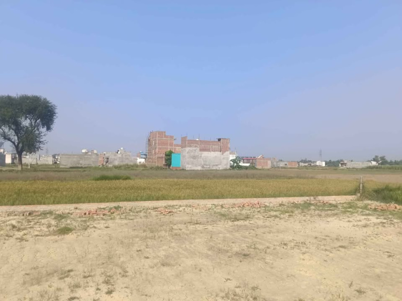 40 Cent Residential Plot for Sale in Kuruvattur, Kozhikode