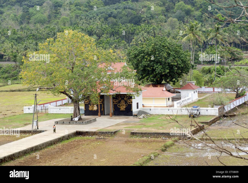  9 Cent Residential Plot for Sale in Vadakkencherry, Palakkad