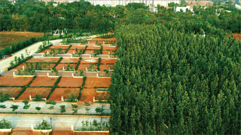  Residential Plot for Sale in Devanahalli, Bangalore