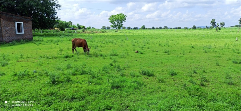  30 Cent Residential Plot for Sale in Vadakkencherry, Palakkad