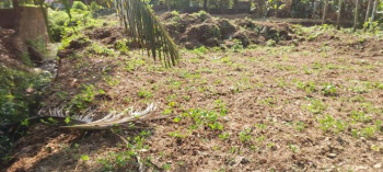  Residential Plot for Sale in Vandithavalam, Palakkad