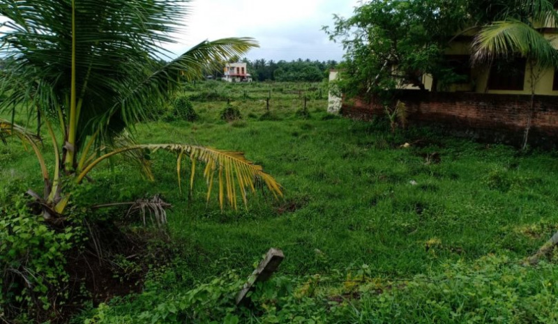  43 Cent Residential Plot for Sale in Kollengode, Palakkad