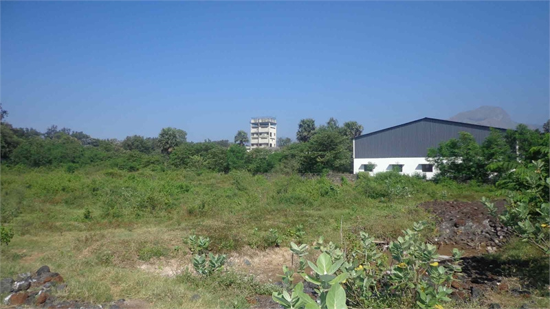  4 Cent Commercial Land for Sale in Stadium Bypass Road, Palakkad