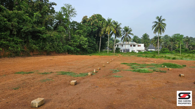  9 Cent Residential Plot for Sale in Sultanpet, Palakkad