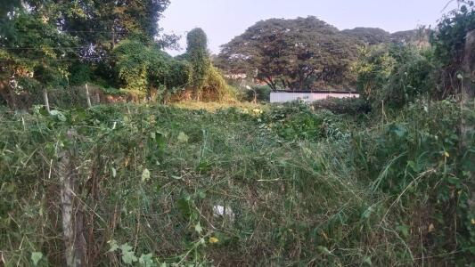  1 Acre Agricultural/Farm Land for Sale in Kadampazhipuram, Palakkad