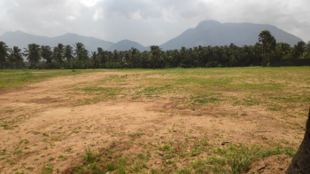  Residential Plot for Sale in Kongad, Palakkad