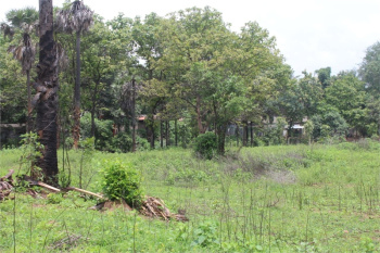  Residential Plot for Sale in Chandranagar, Palakkad