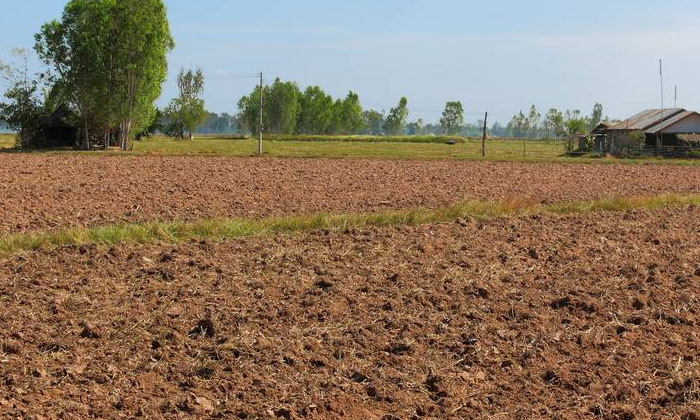  35 Cent Residential Plot for Sale in Chandranagar, Palakkad