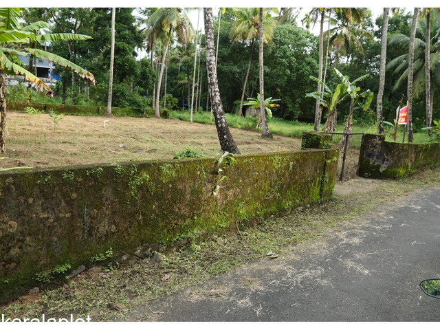  1800 Cent Residential Plot for Sale in Olavakkode, Palakkad