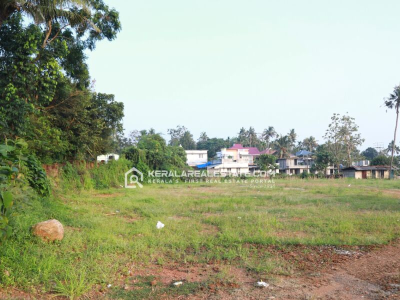  50 Cent Residential Plot for Sale in Vadakkencherry, Palakkad
