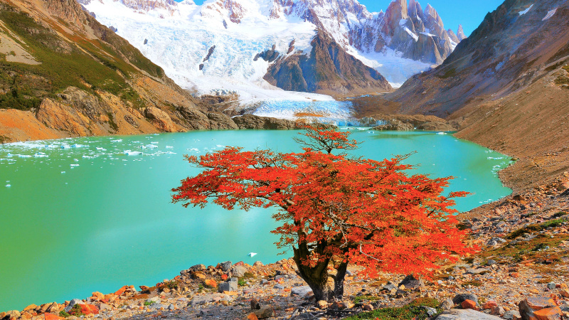  2250 Sq.ft. Residential Plot for Sale in Horamavu Agara, Bangalore