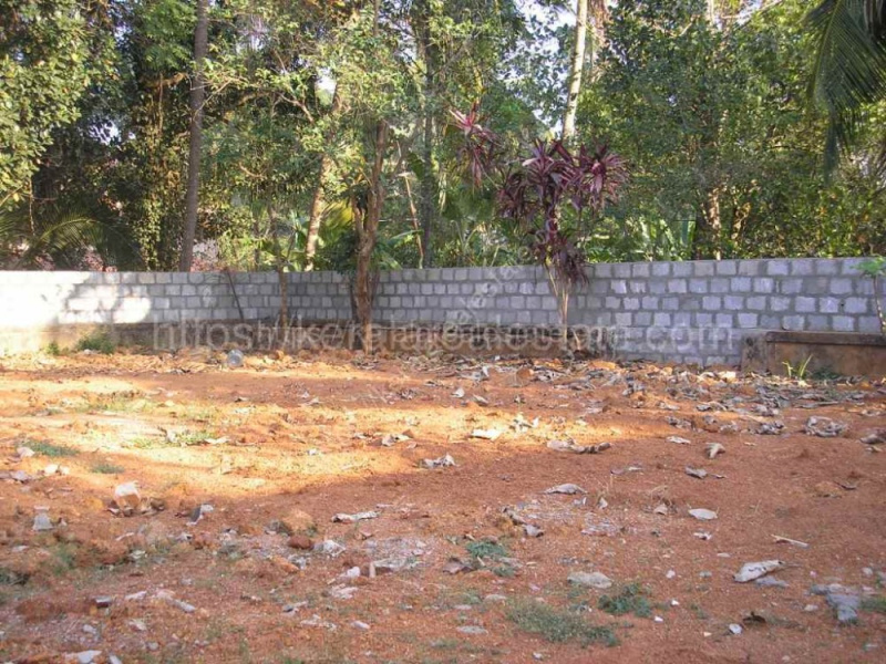  12 Cent Residential Plot for Sale in Pathirippala, Palakkad