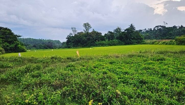  4000 Sq.ft. Commercial Land for Sale in Kalyan Nagar, Bangalore