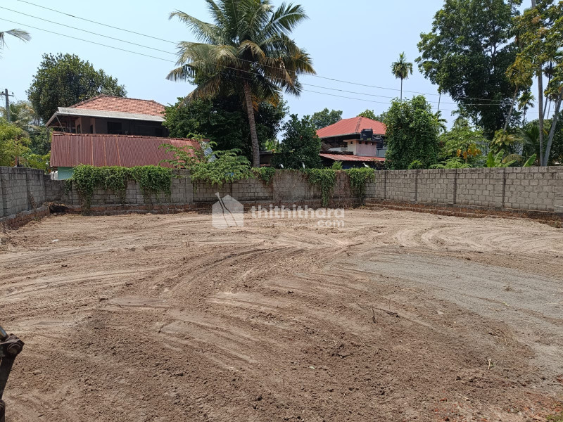  20 Cent Residential Plot for Sale in Mundur, Palakkad