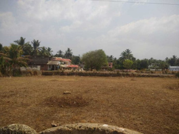  Residential Plot for Sale in Kannadi, Palakkad