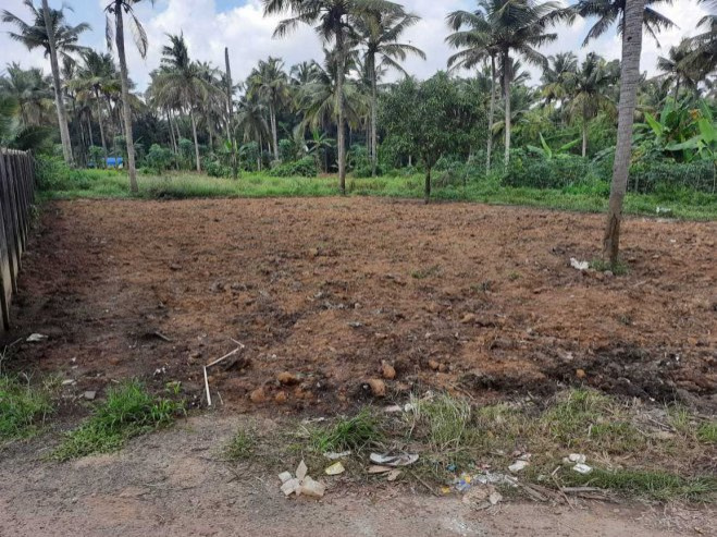  10 Cent Residential Plot for Rent in Mannarkkad, Palakkad