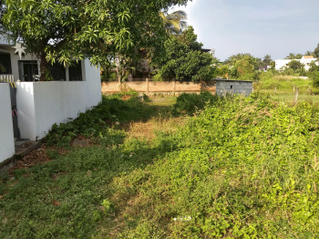  Residential Plot for Sale in Vadakkencherry, Palakkad