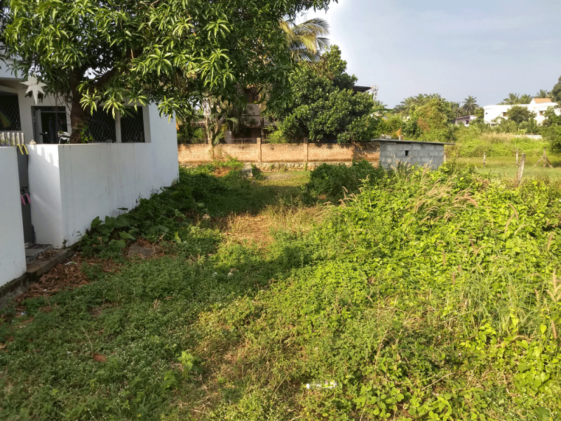  10 Cent Residential Plot for Sale in Vadakkencherry, Palakkad