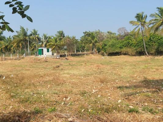  40 Cent Residential Plot for Sale in Vadakkencherry, Palakkad