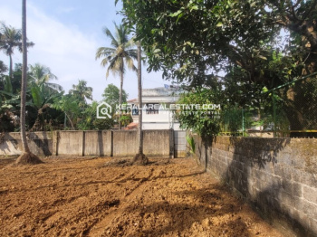  Residential Plot for Sale in Nellaya, Palakkad