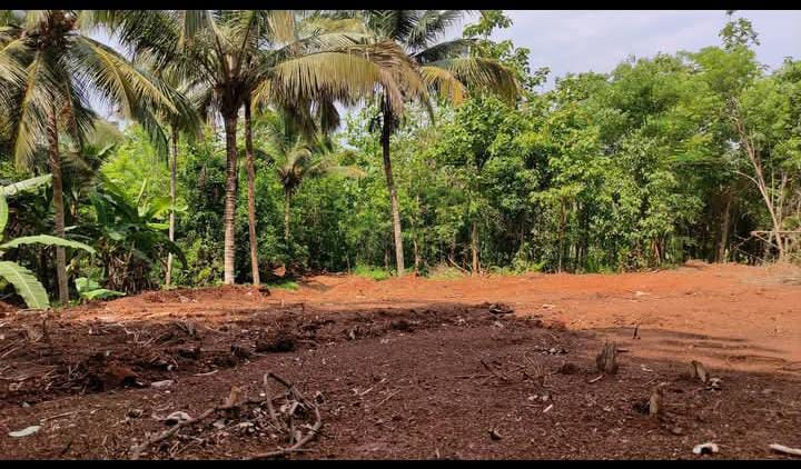  2 Acre Residential Plot for Sale in Mannarkkad, Palakkad