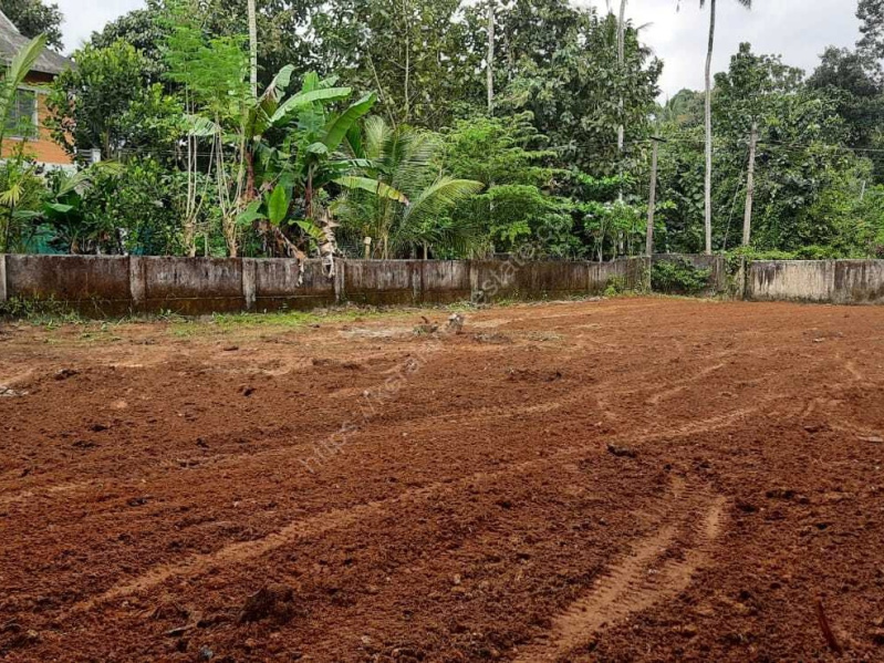  20 Cent Residential Plot for Sale in Manappadam, Palakkad