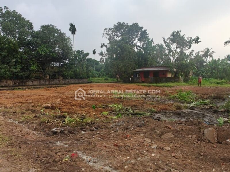  7 Cent Agricultural/Farm Land for Sale in Vadakkencherry, Palakkad