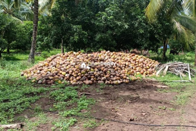  1200 Sq.ft. Commercial Land for Sale in Kasturi Nagar, Bangalore