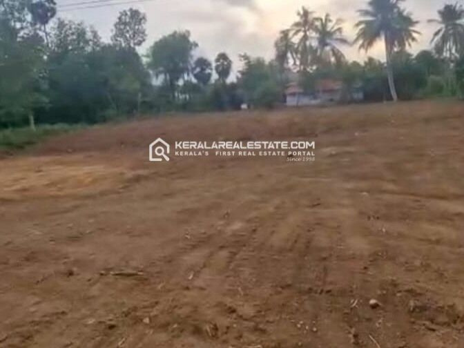  100 Cent Agricultural/Farm Land for Sale in Kizhakkancherry, Palakkad