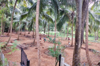  Residential Plot for Sale in Kr Puram, Bangalore